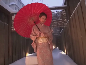 Reina - The Ultimate JAV MILF: Special Edition Vol